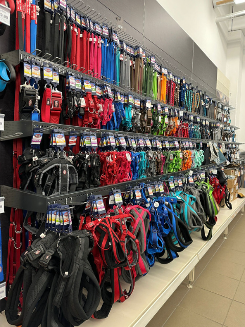 ZOO & Co. : Über uns